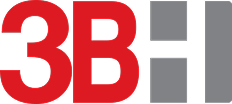 3B